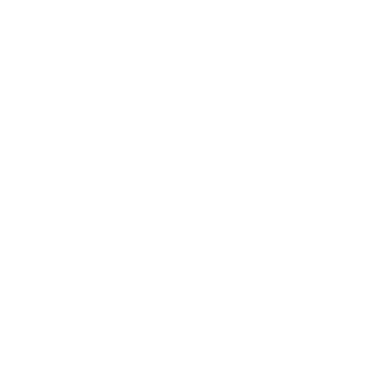 Boston Chimney Sweep